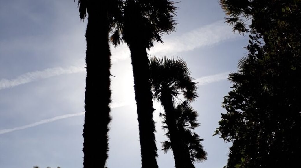 Malibu or Logan Botanic Garden?! Who can say...