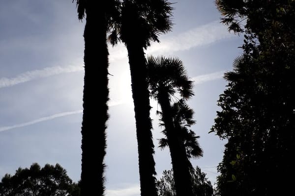 Malibu or Logan Botanic Garden?! Who can say...