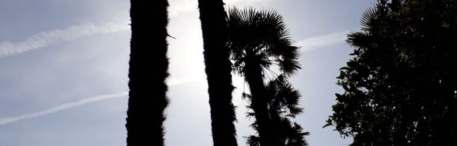 Malibu or Logan Botanic Garden?! Who can say...
