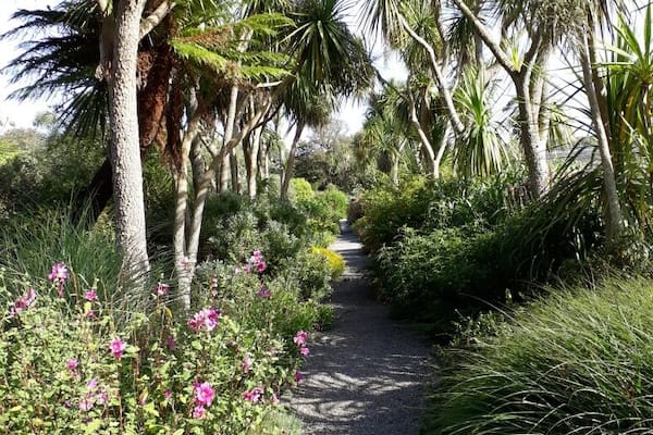 A sub-tropical walk on a semi-tropical day...
