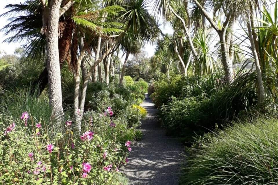 Un sendero bordeado de palmeras y plantas con flores.