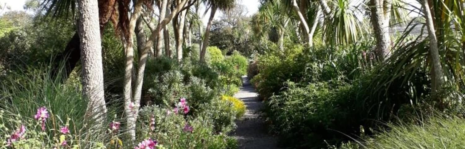 A sub-tropical walk on a semi-tropical day...