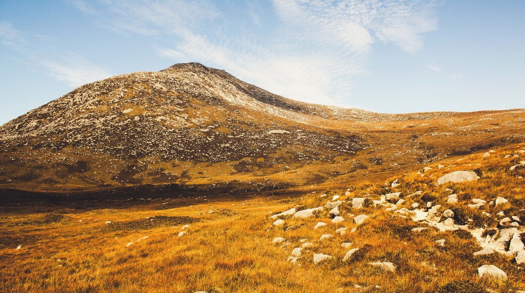 Taken in September of 2014.
#golden