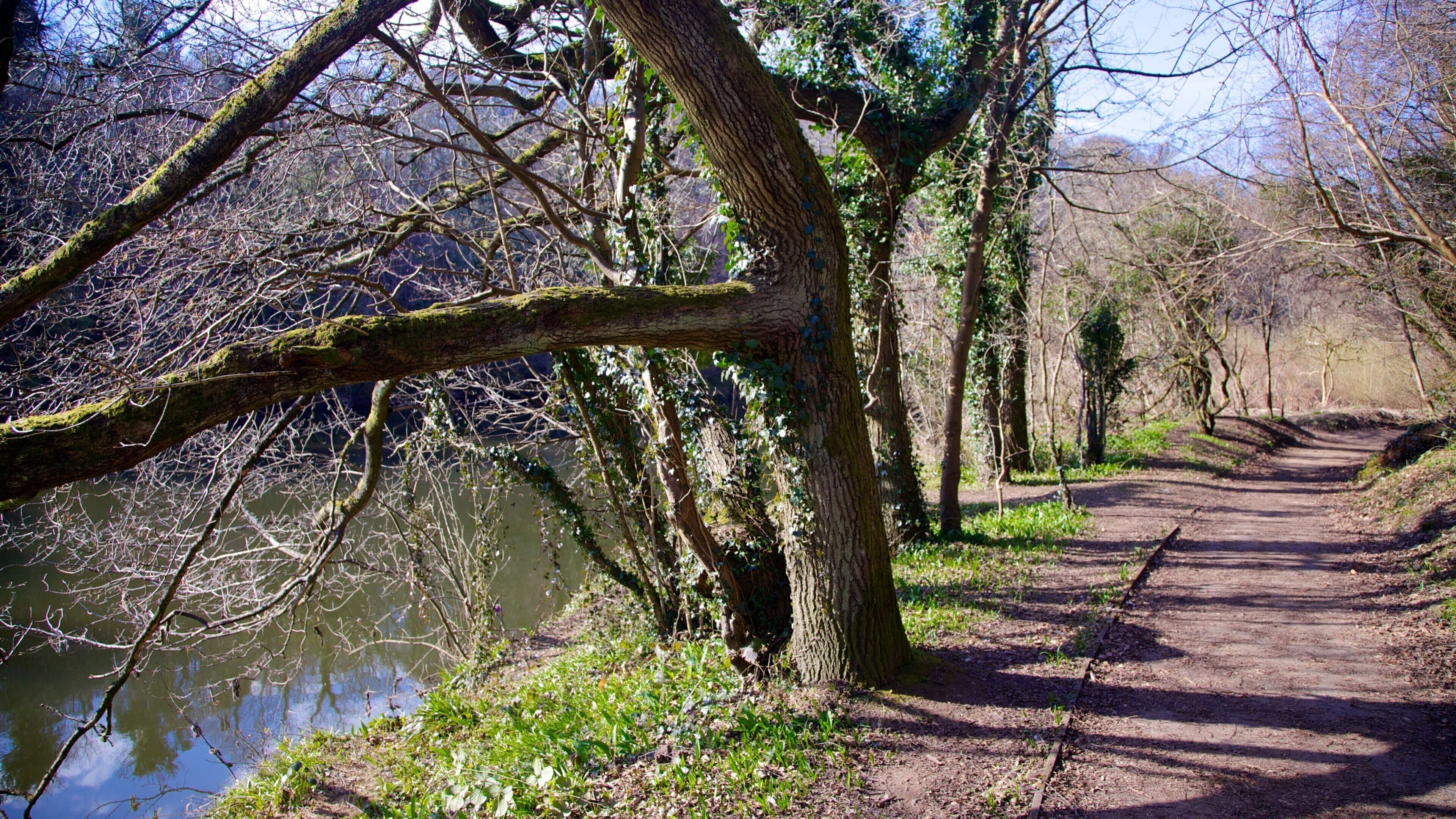 Château de Bothwell qui includes rivière ou ruisseau