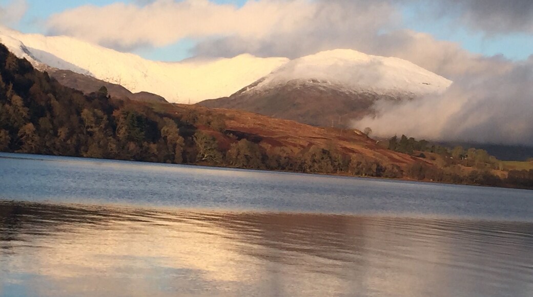 New Yearâs Day #reflections