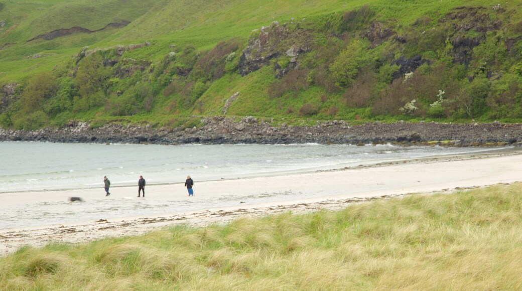 캘거리 베이 비치 을 보여주는 일반 해안 전경, 한적한 풍경 과 모래 해변