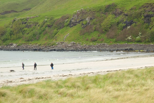 Calgary Bay Beach featuring general coastal views, tranquil scenes and a beach