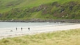Calgary Bay Beach which includes tranquil scenes, general coastal views and a beach