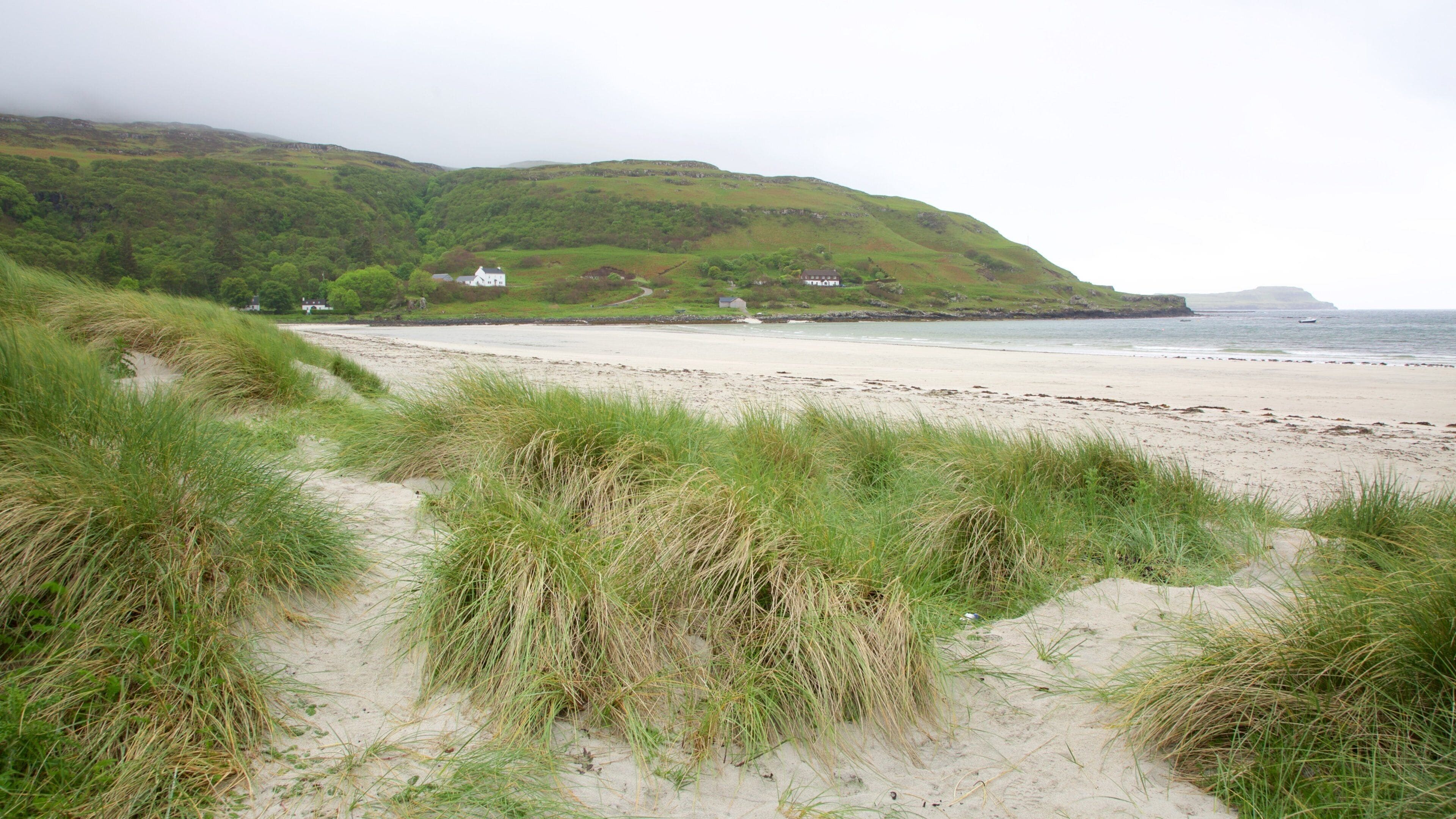 Calgary Bay Beach featuring a beach, tranquil scenes and general coastal views