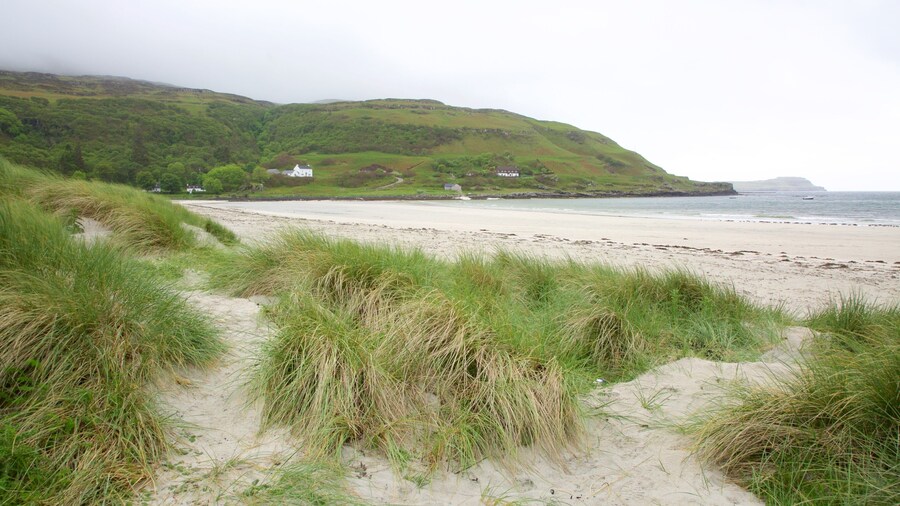 Calgary Bay Beach featuring a beach, tranquil scenes and general coastal views