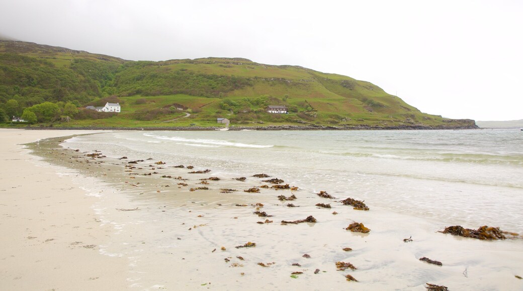 Calgary Bay Beach featuring tranquil scenes, general coastal views and a beach