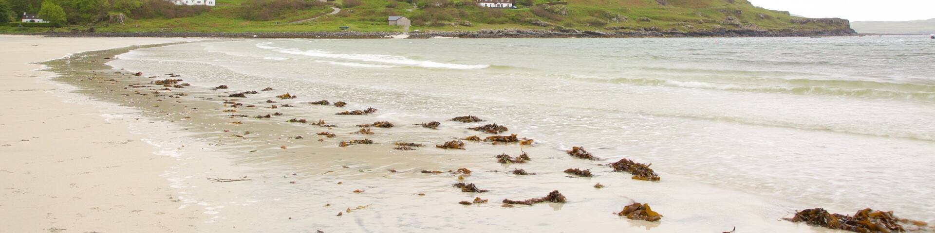 Calgary Bay Beach which includes tranquil scenes, general coastal views and a sandy beach