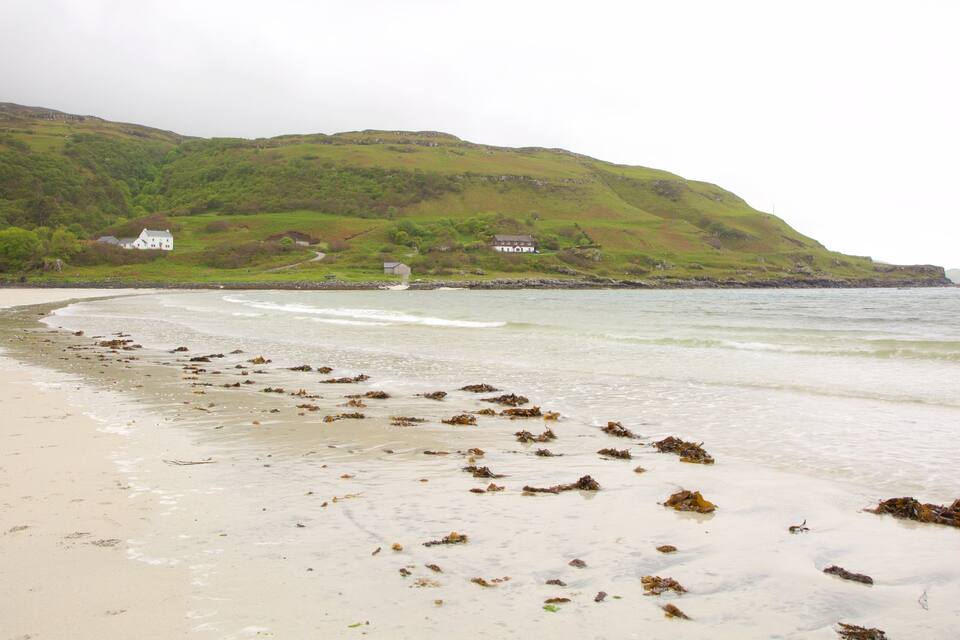 A beach with seaweed on the shore, a sandy beach, and houses on a hillside in the background.