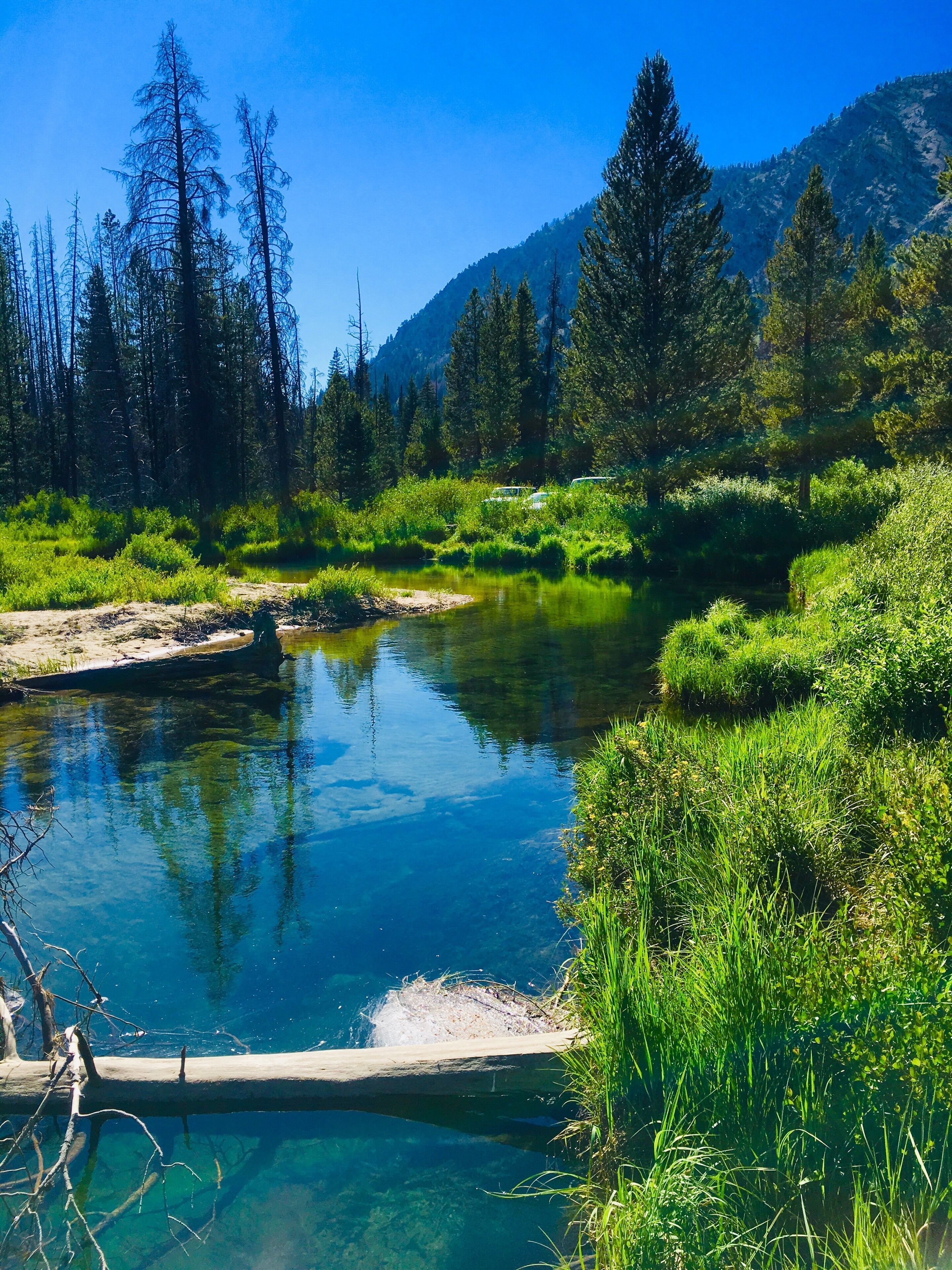 #Adventures Photo Contest Stanley Idaho 💗