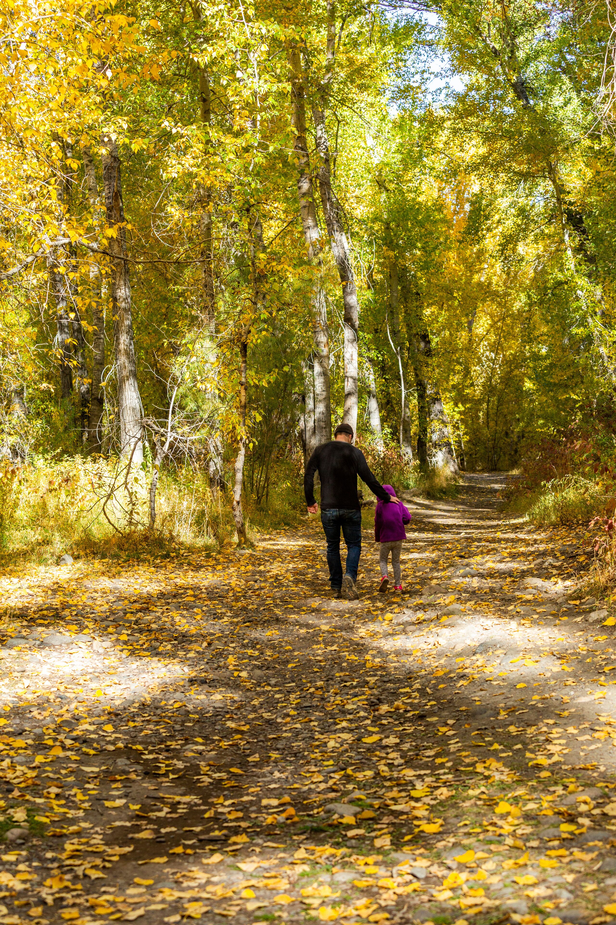 USA, Idaho, Hailey, Father and daughter (6-7) walk through forest in fall
