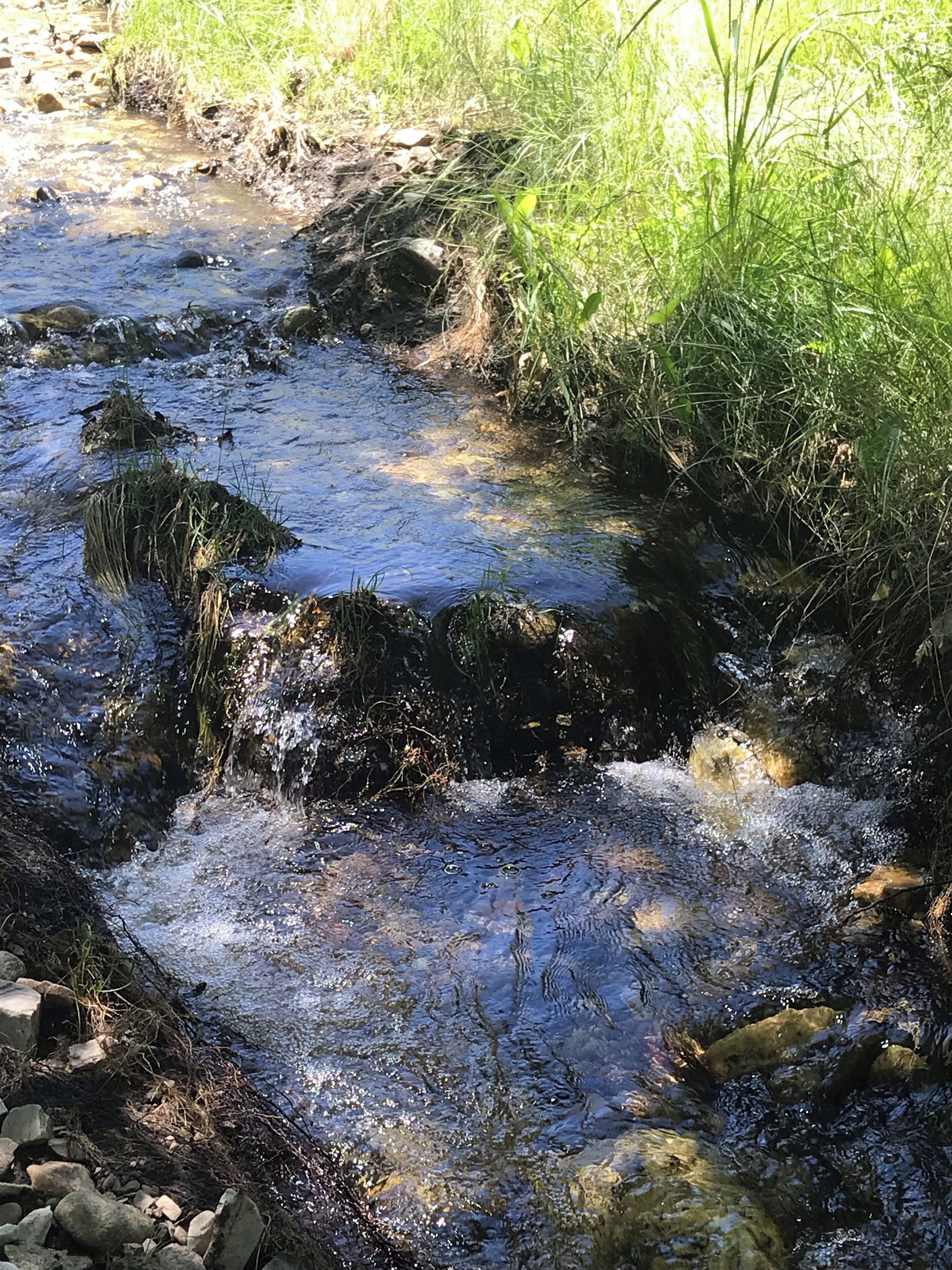Creek at Sawtooth National Forest.