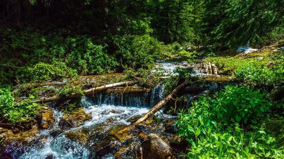 Small creek on a hike up to Lake Miner about ten minutes outside of Ketchum