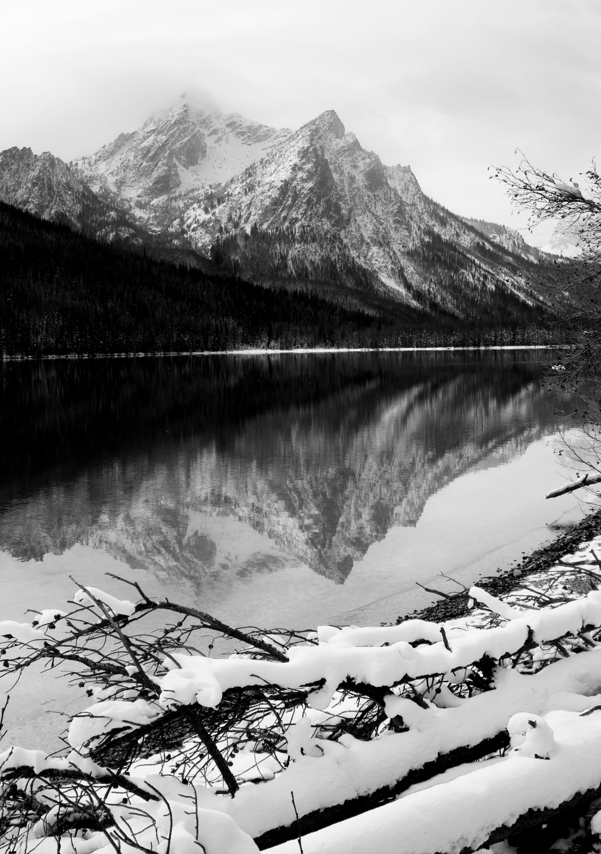 A mountain range reflected in a calm lake with snow-covered branches in the foreground.