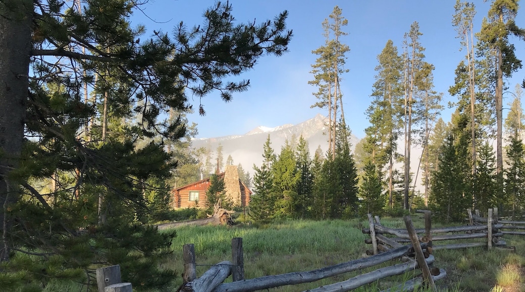 Cabin, woods, mountains, misty