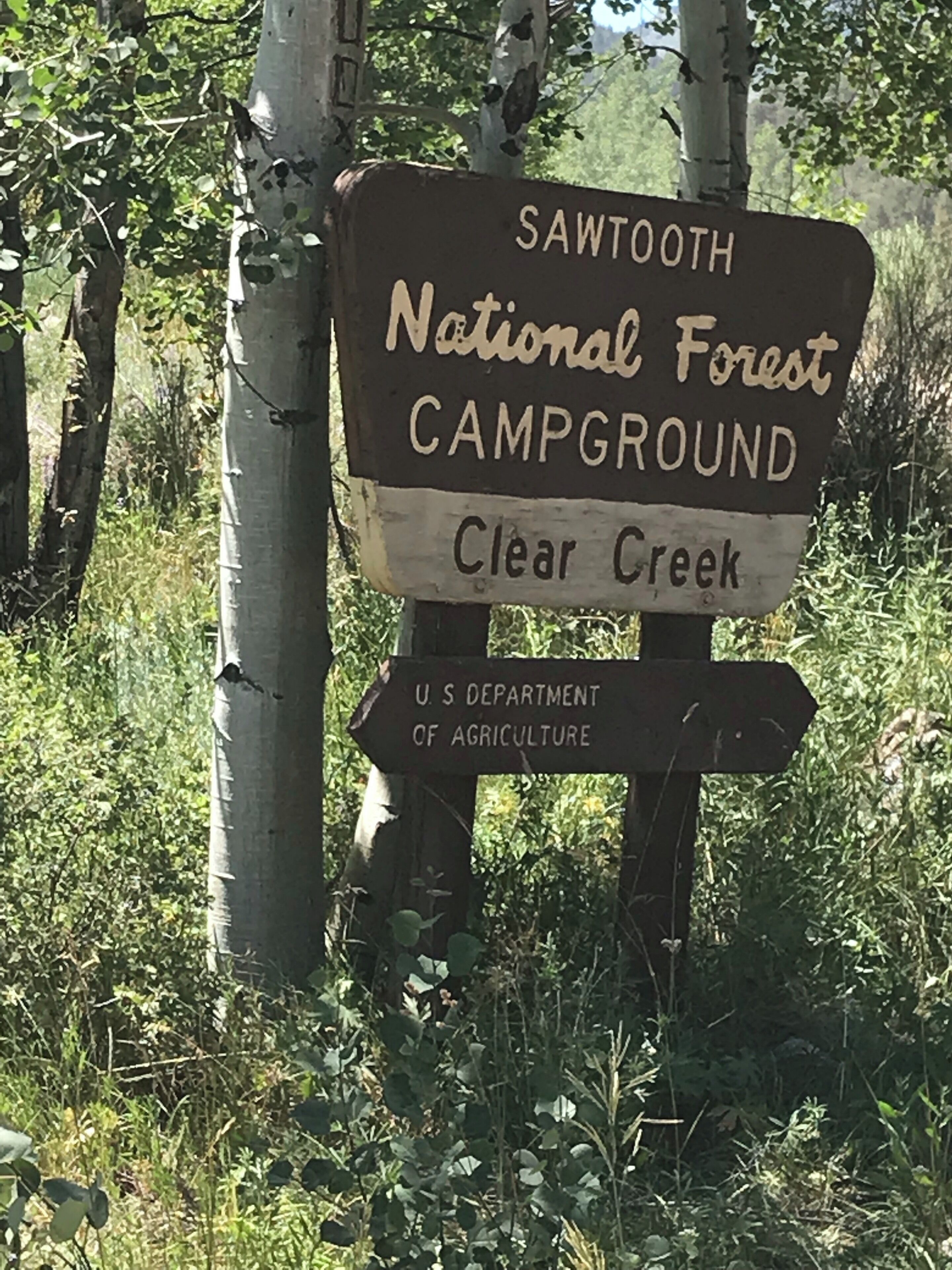 Great place for camping. It is rough though. Tent and small campers would be best. No hookups that I saw. Nice creek for wading.