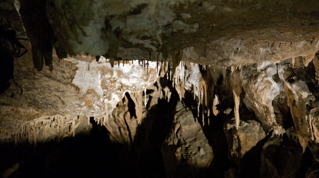 Marble Arch Caves fasiliteter samt hulevandring