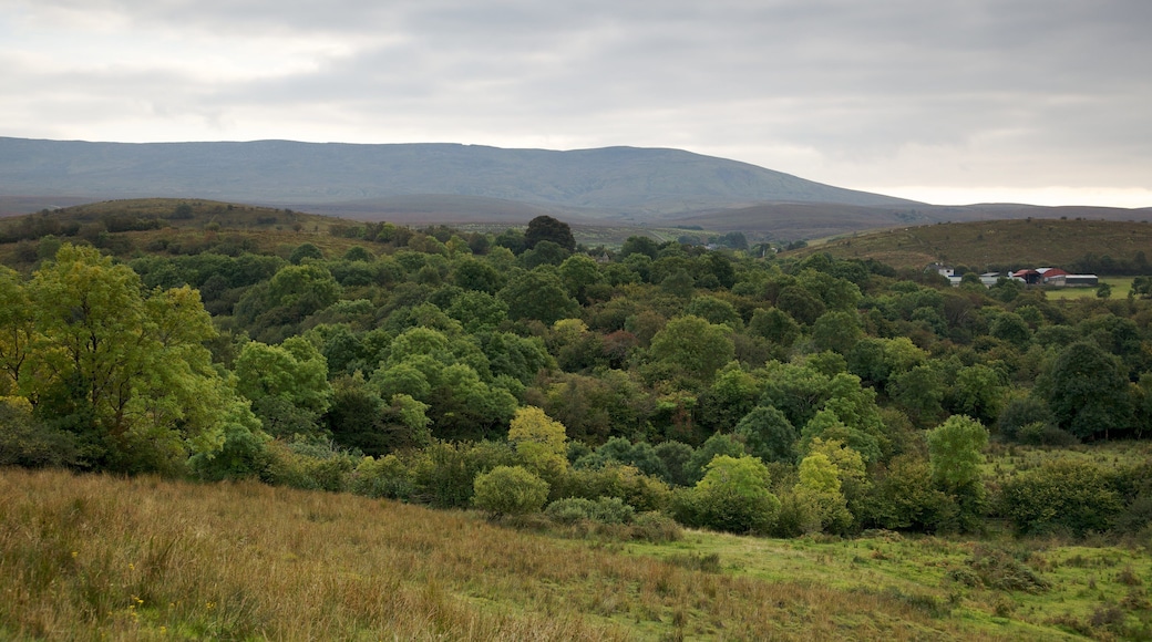 Enniskillen featuring tranquil scenes and landscape views