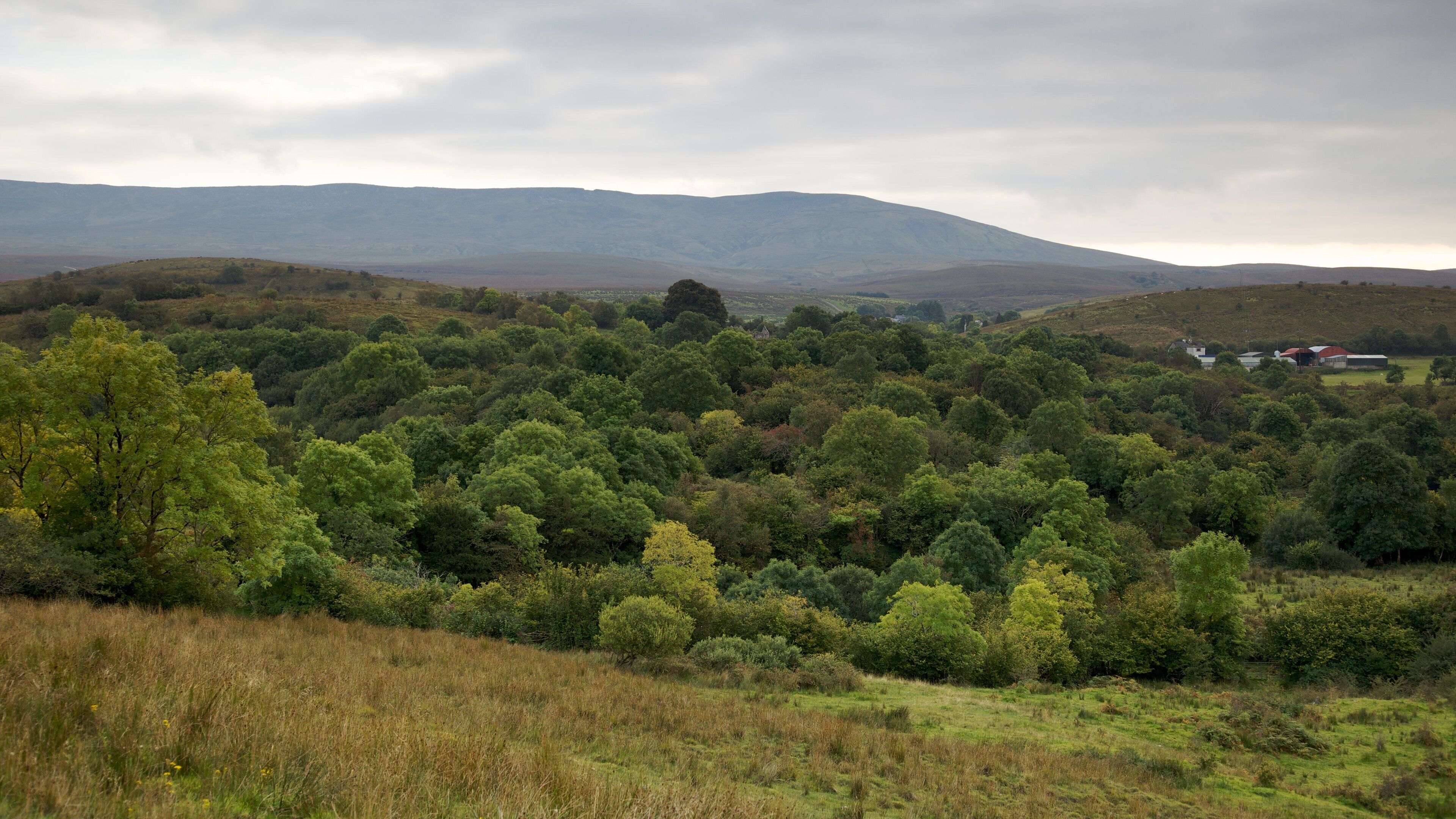 A lush green landscape with rolling hills and a distant mountain range.