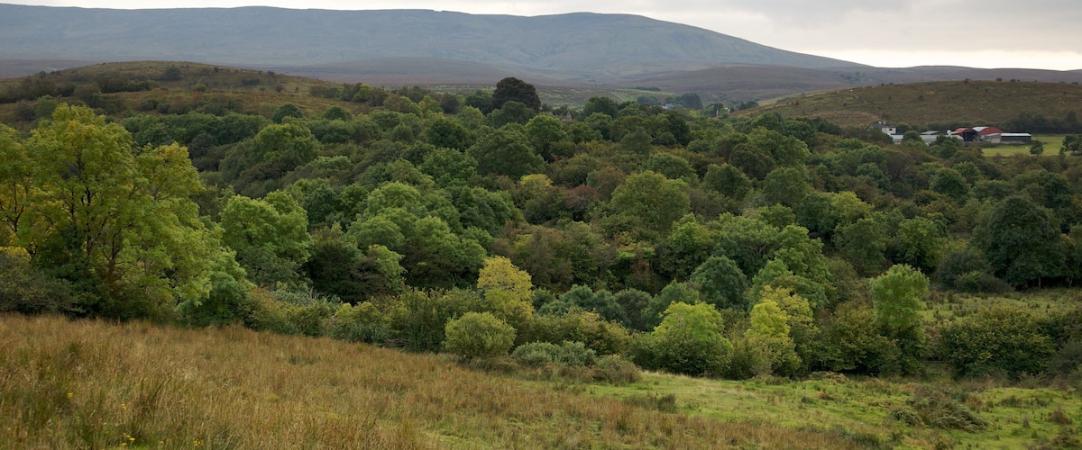 A lush green landscape with rolling hills and a distant mountain range.