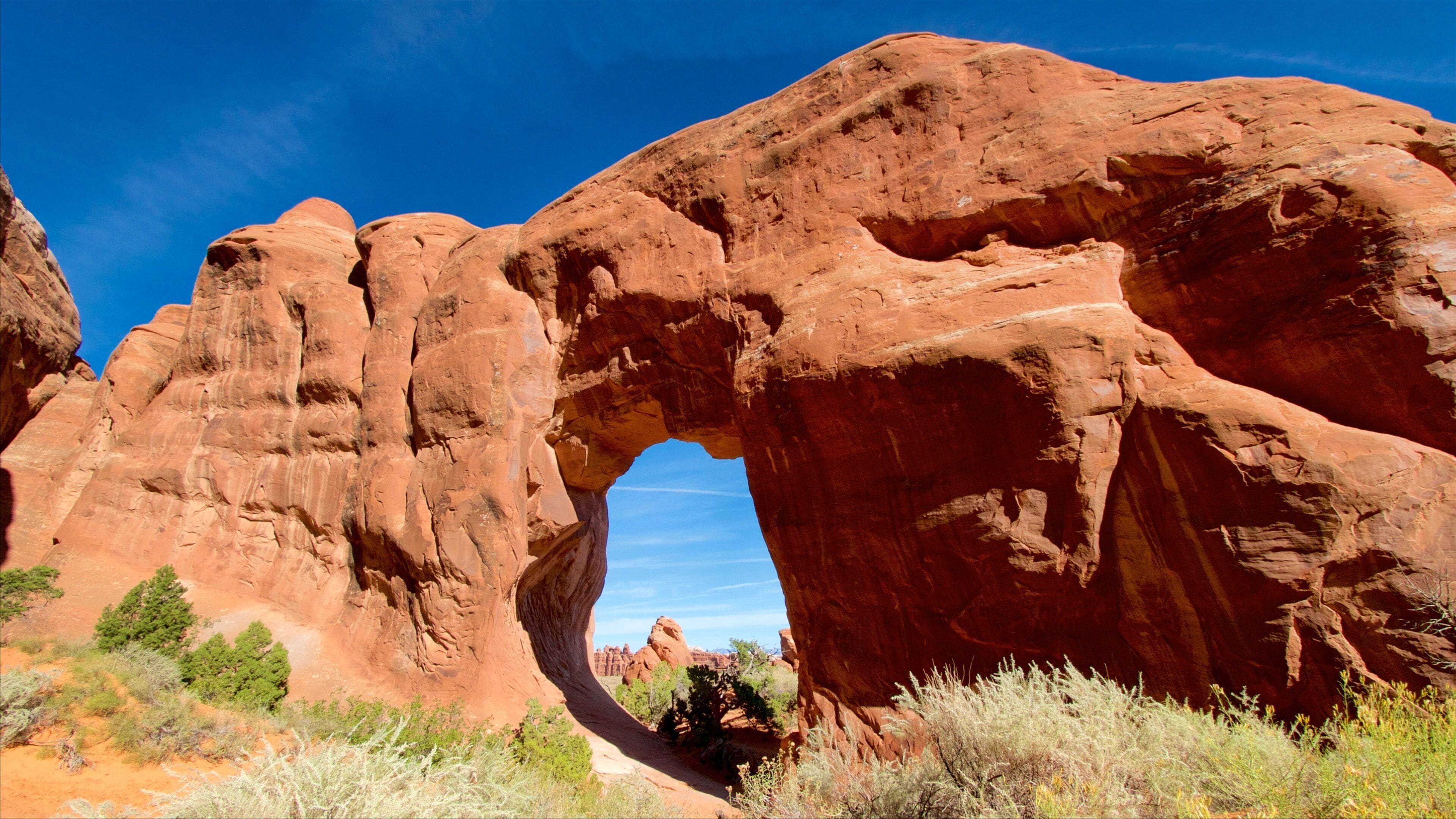 Arches National Park featuring desert views, tranquil scenes and a gorge or canyon