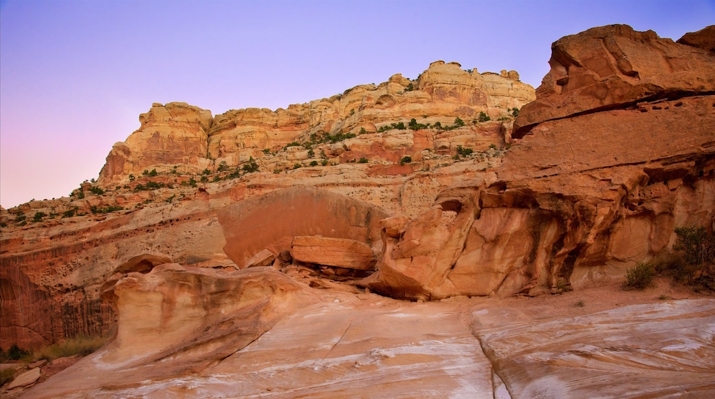 Capitol Reef National Park featuring tranquil scenes, a gorge or canyon and desert views