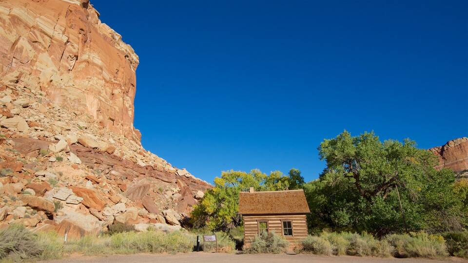 A wooden cabin surrounded by desert vegetation and a large red rock cliff.