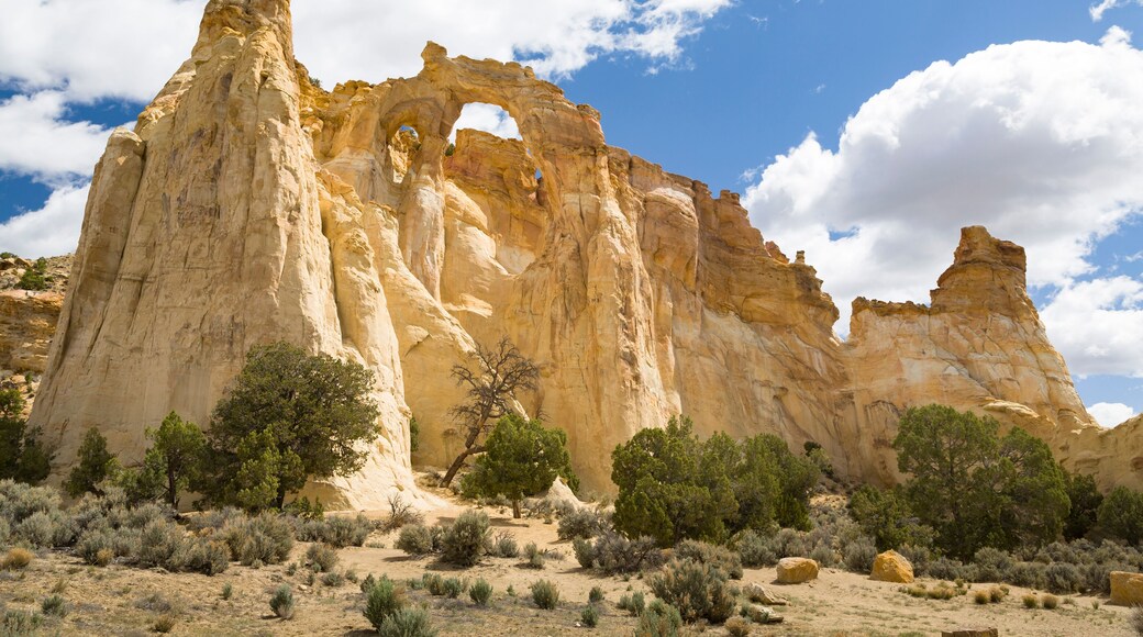 大階梯 – 埃斯卡蘭特國家紀念碑