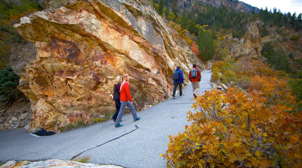 Timpanogos Cave National Monument showing a park, fall colors and hiking or walking