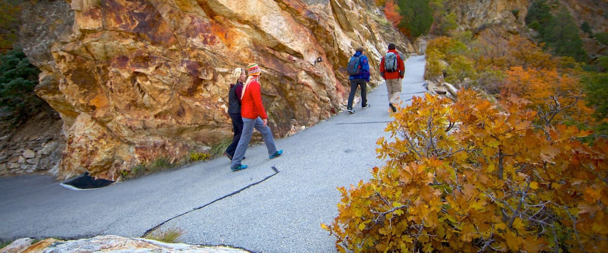 Timpanogos Cave National Monument which includes autumn colours, a garden and hiking or walking