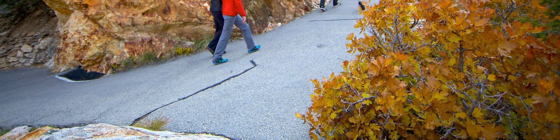 Timpanogos Cave National Monument mettant en vedette couleurs d\'automne, randonnée ou marche à pied et parc