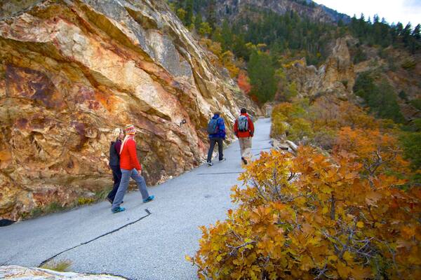 Timpanogos Cave National Monument mettant en vedette couleurs d\'automne, randonnée ou marche à pied et parc