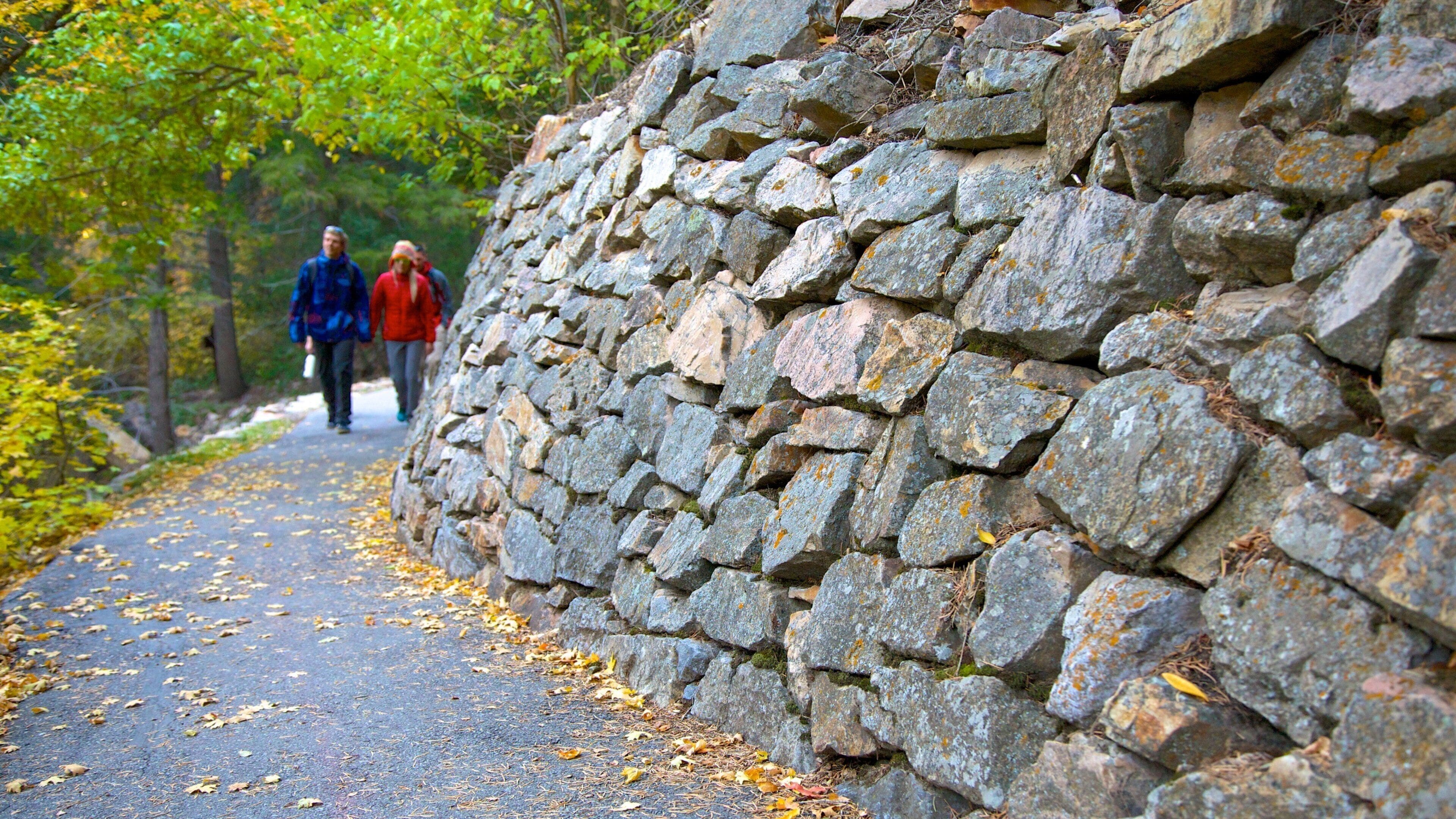 Timpanogos Cave National Monument which includes a park and hiking or walking as well as a couple