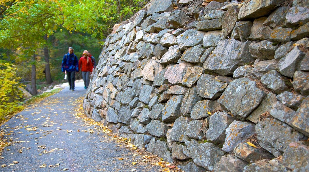 Timpanogos Cave National Monument showing hiking or walking and a park as well as a couple