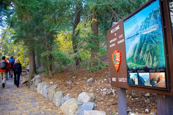 Un panneau indiquant le début d’un sentier de randonnée, avec une carte et des informations sur le monument national de la grotte de Timanogos.