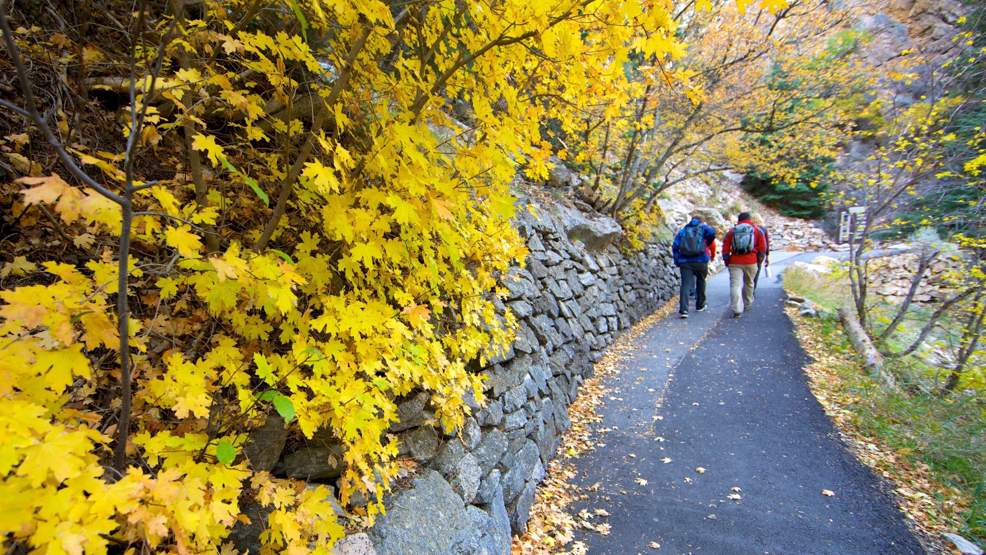 Timpanogos Cave National Monument showing hiking or walking, a garden and autumn colours