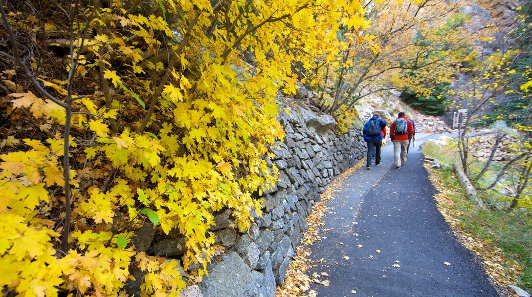 Timpanogos Cave National Monument showing hiking or walking, a garden and autumn leaves