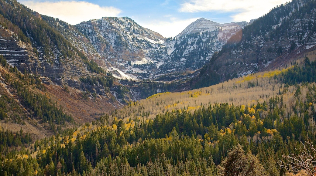 Timpanogos Cave National Monument which includes landscape views, tranquil scenes and mountains