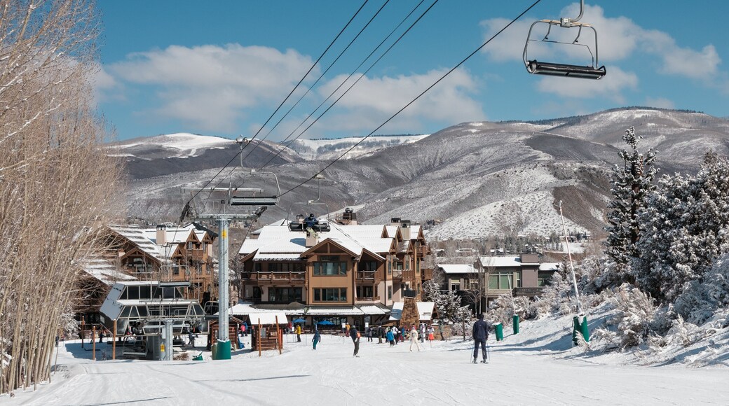 海狸山滑雪胜地
