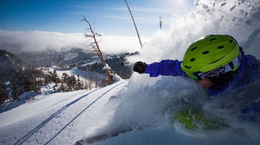 Solitude Mountain mostrando ski en la nieve y nieve