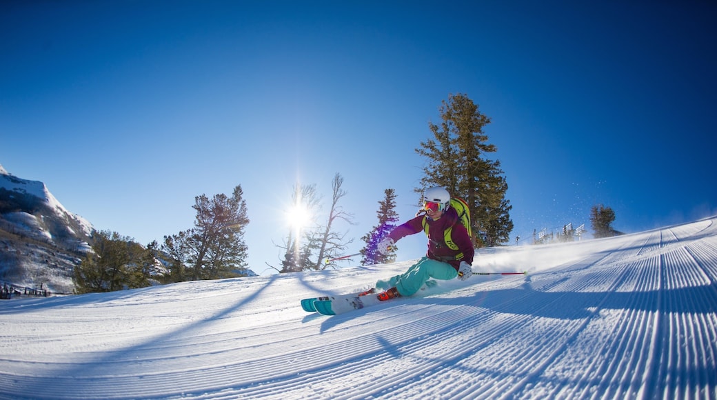 Solitude Mountain mostrando esquiar en la nieve y nieve