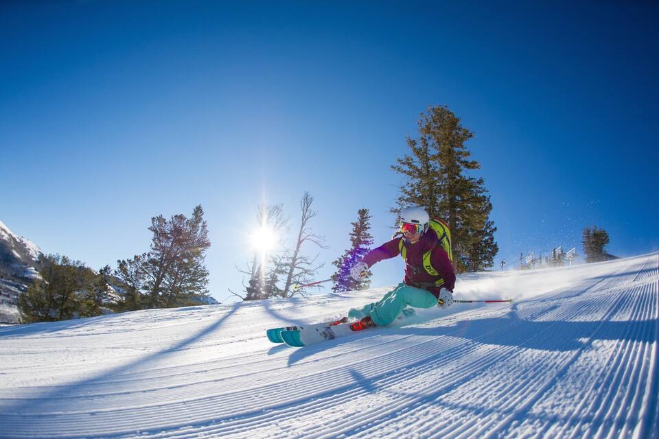 A skier on a snowy slope with trees and a clear blue sky.