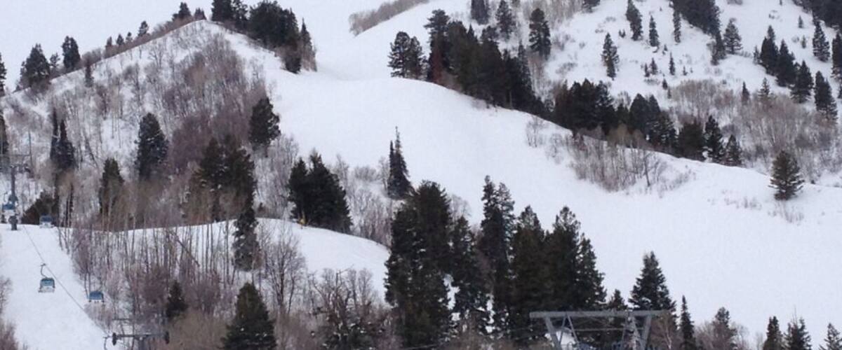 Snow Basin (UT) has 9500' of vertical, and a bunch of great skiing. The ownership group is the same as Sun Valley , and it shows. The lodges are beautiful, the food is good, and the people are very friendly. Park City, Powder Mtn, and Alta are all nearby.