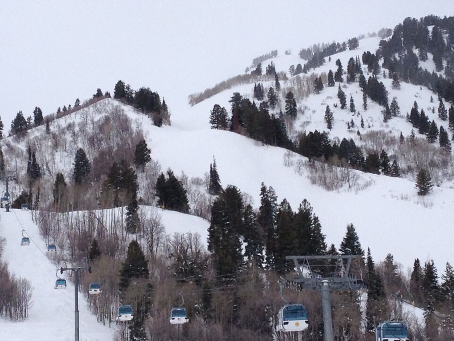 Snow Basin (UT) has 9500' of vertical, and a bunch of great skiing. The ownership group is the same as Sun Valley , and it shows. The lodges are beautiful, the food is good, and the people are very friendly. Park City, Powder Mtn, and Alta are all nearby.