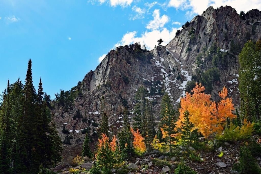 We love the gondola ride up to the Needles Lodge breakfast at Snow Basin Ski Resort every year.  After the delicious meal hiking and taking photos of the fall foliage is the ultimate.