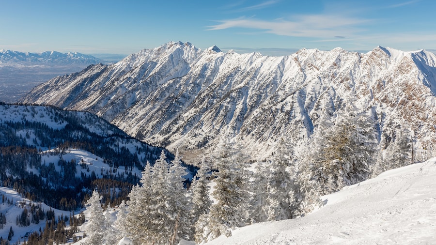 Estación de esquí de Snowbird